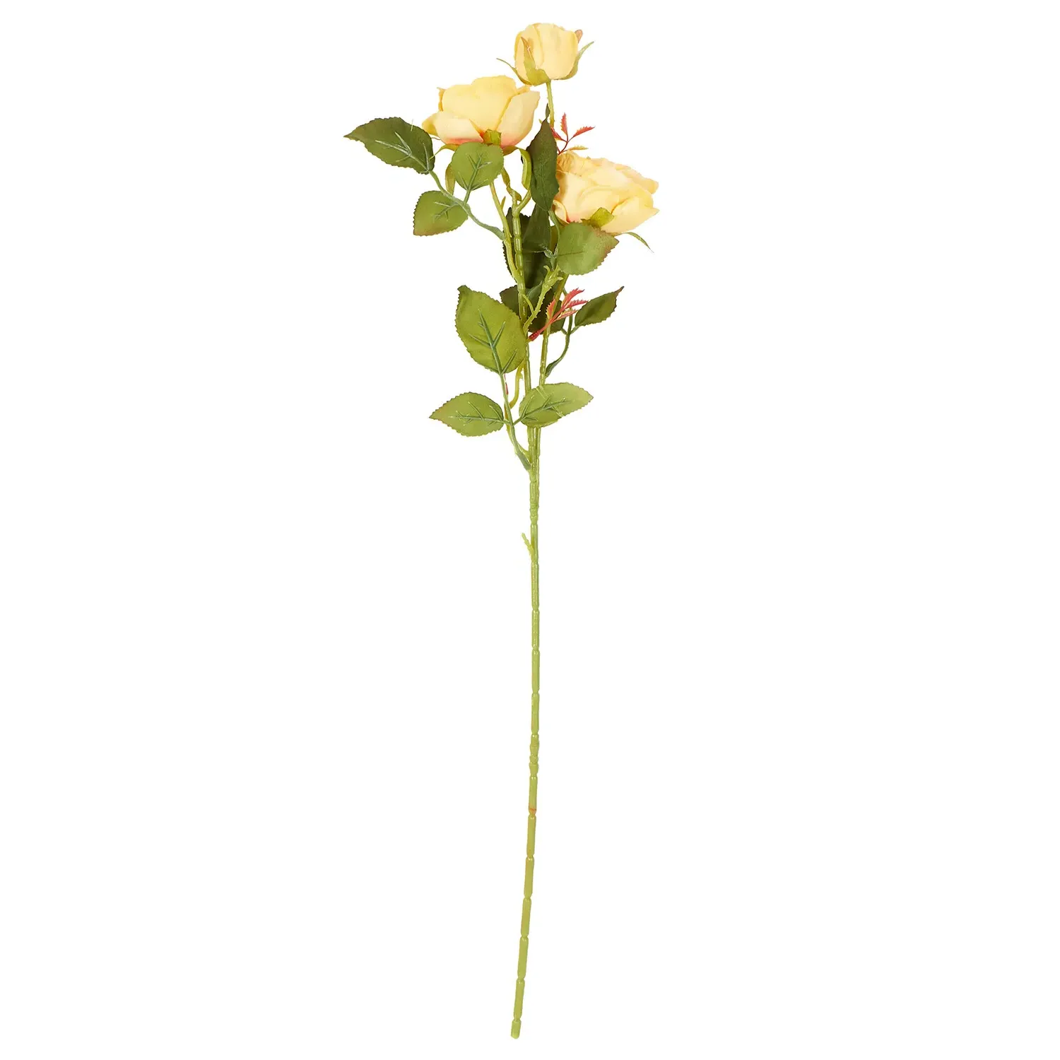 Alora Rose Stem - Multicolour