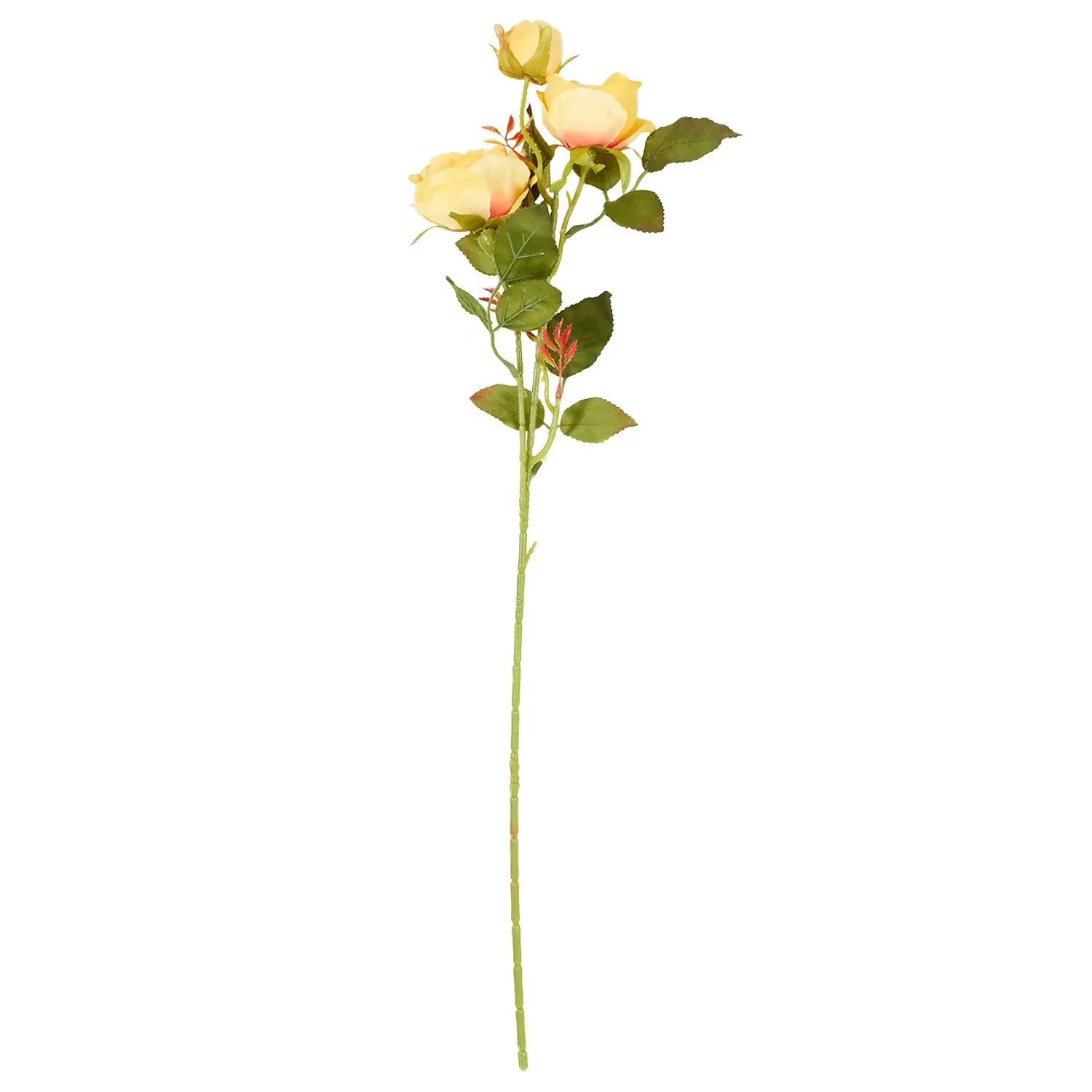 Alora Rose Stem - Multicolour image