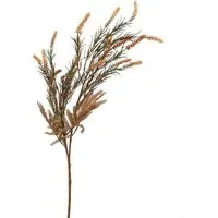 Amaranthus Spray - Amber