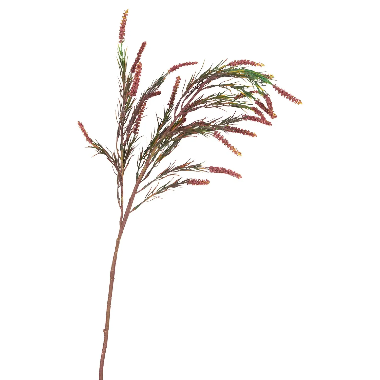 Amaranthus Spray - Amber, Burgundy