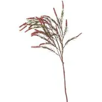 Amaranthus Spray - Amber, Burgundy