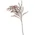 Amaranthus Spray - Amber, Burgundy