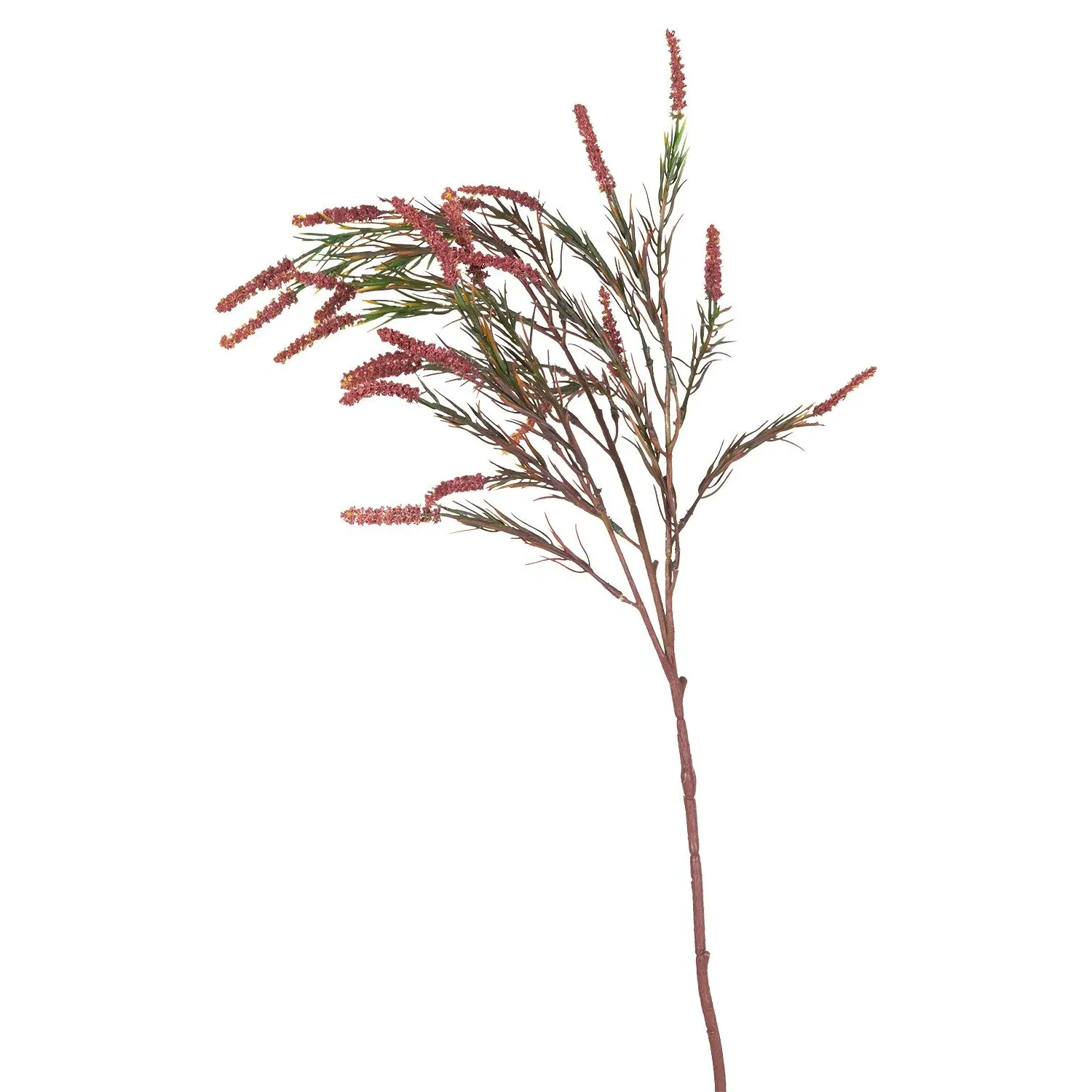 Amaranthus Spray - Amber, Burgundy