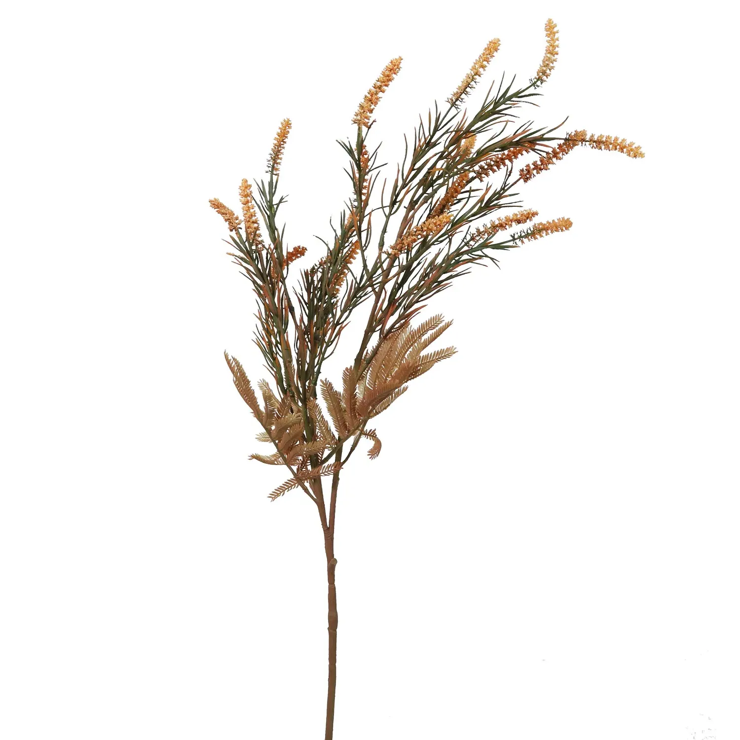 Amaranthus Spray - Amber image