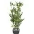 Artificial Bamboo Plant in Terracotta Pot - Green