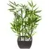 Artificial Bamboo Plant in Terracotta Pot - Green
