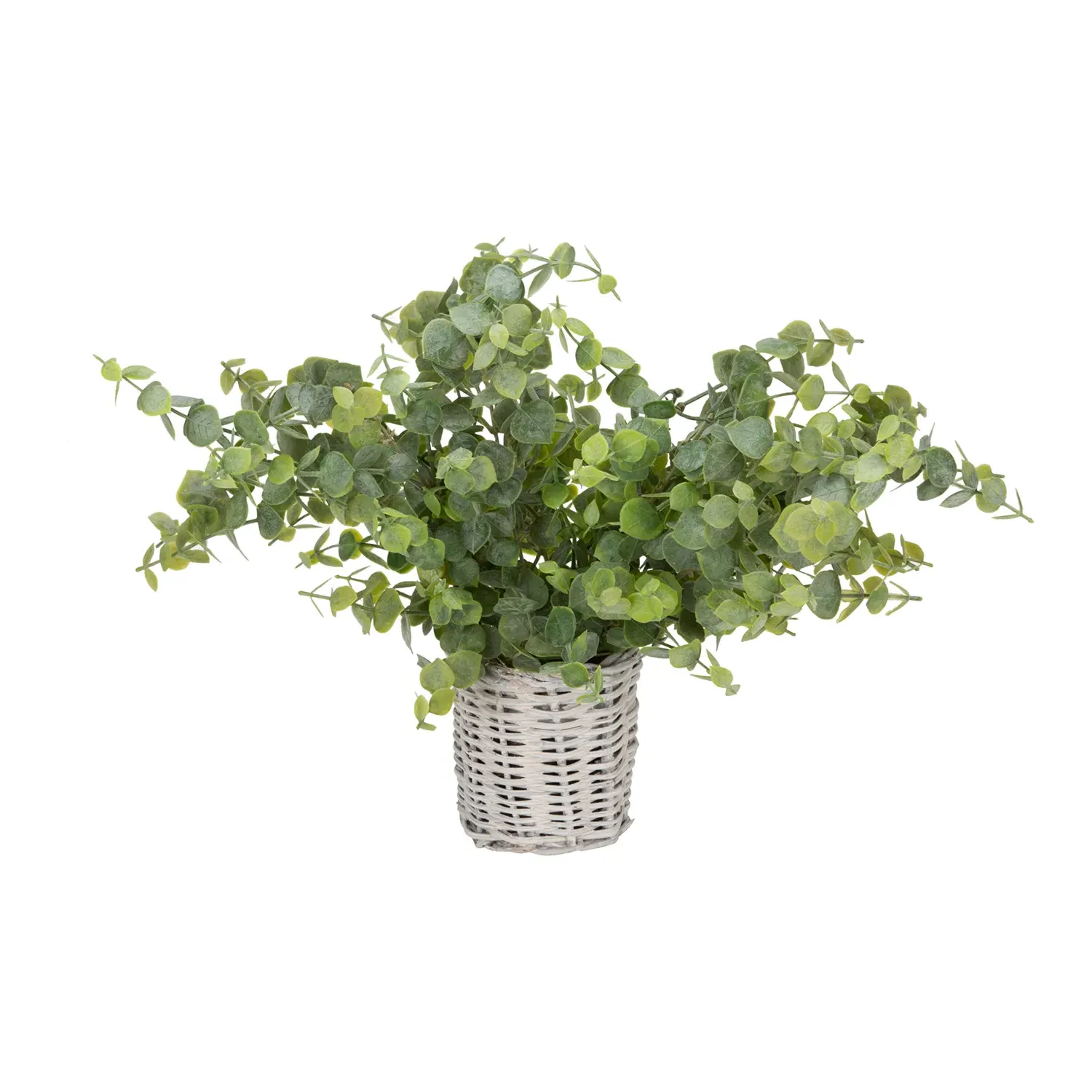 Artificial Eucalyptus in Basket - Green image