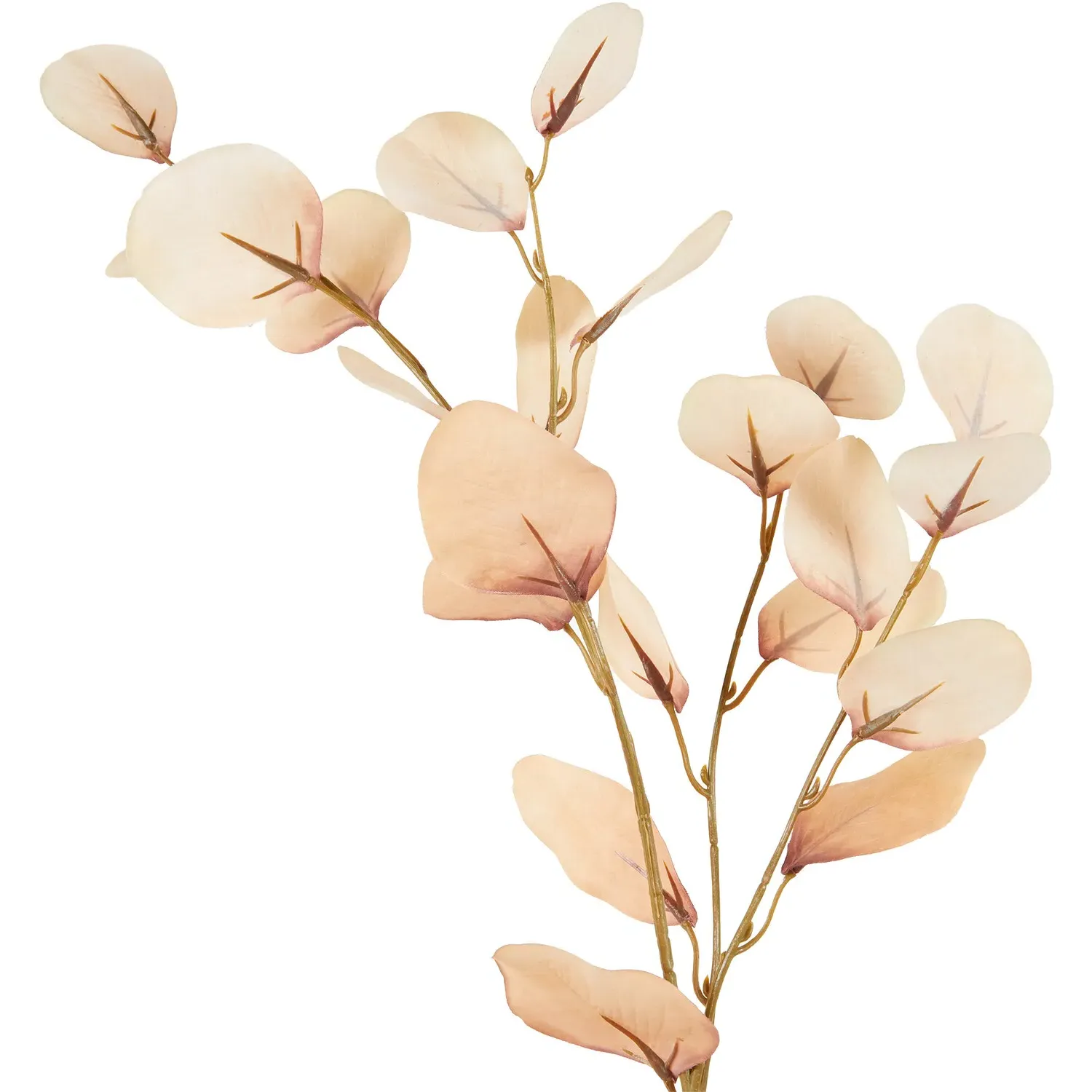 Artificial Eucalyptus Stem - Cream
