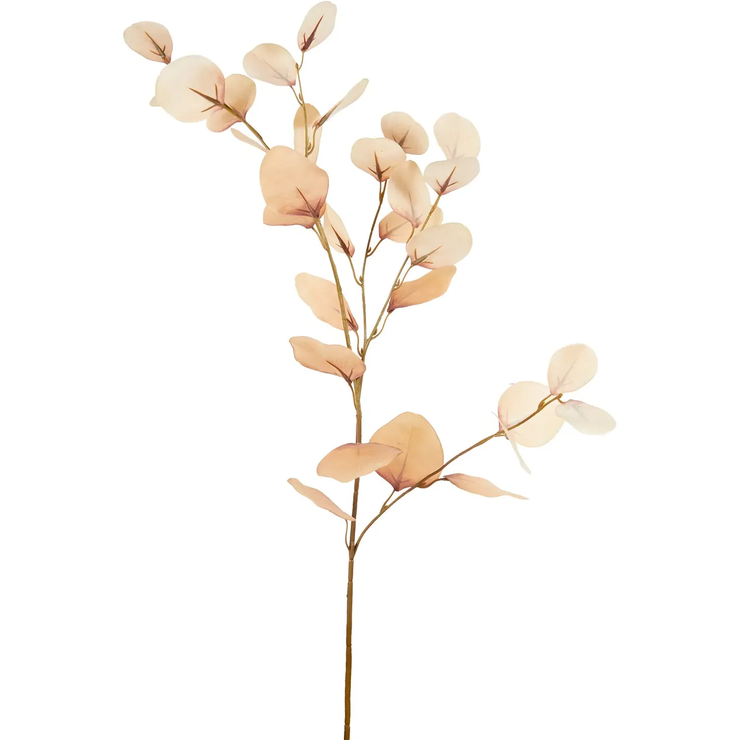 Artificial Eucalyptus Stem - Cream