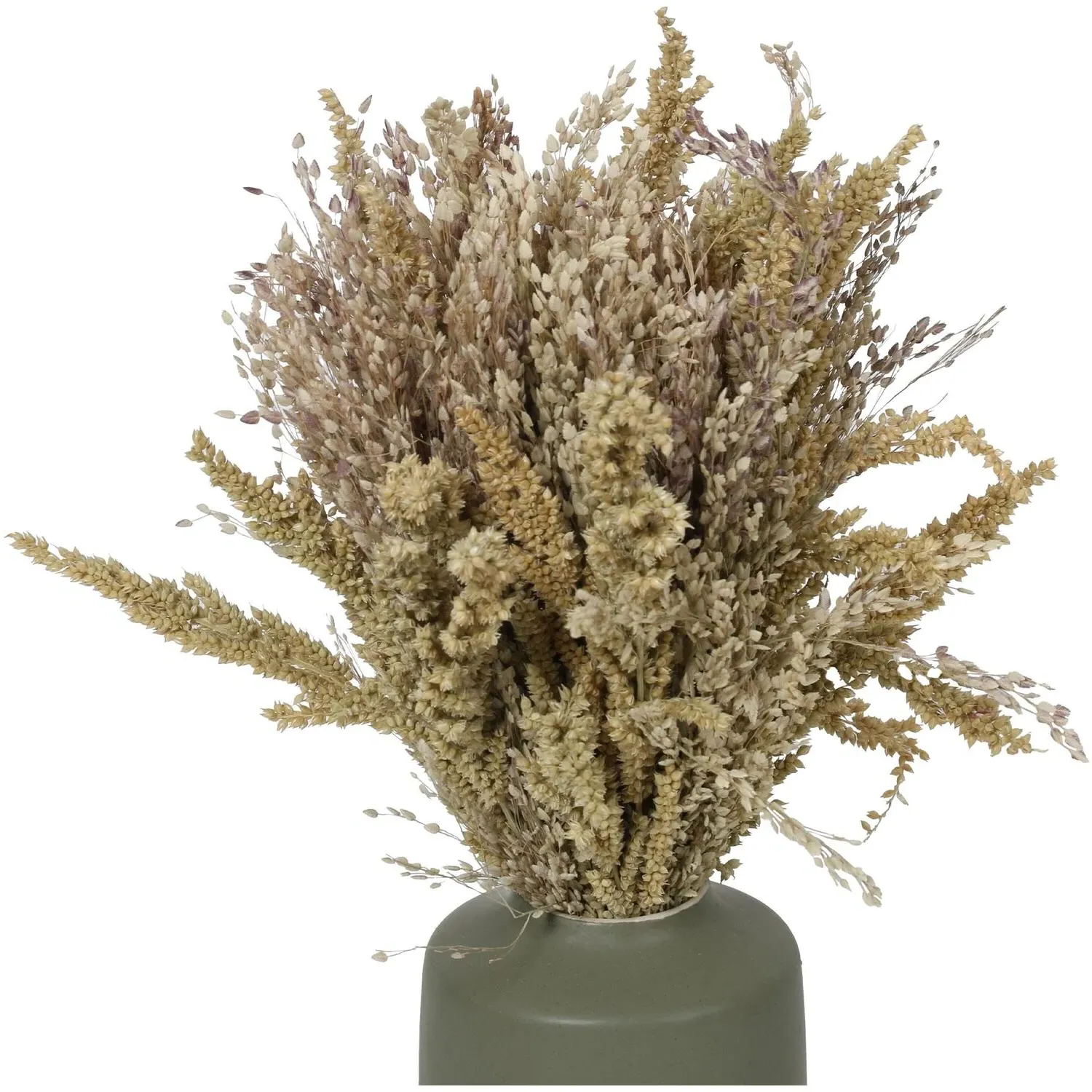 Artificial Grass Plant in Ceramic Vase - Natural