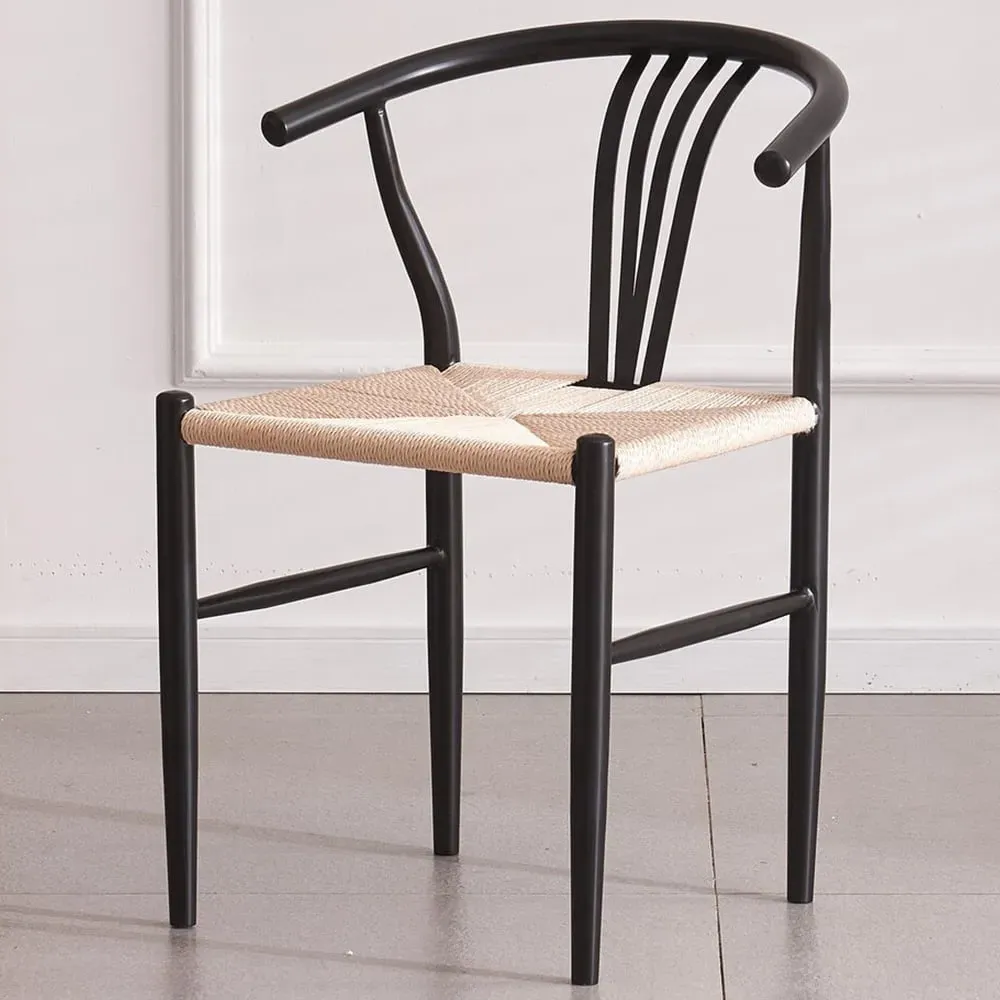 Ashford Set of 2 Dining Chairs - Black, Iron