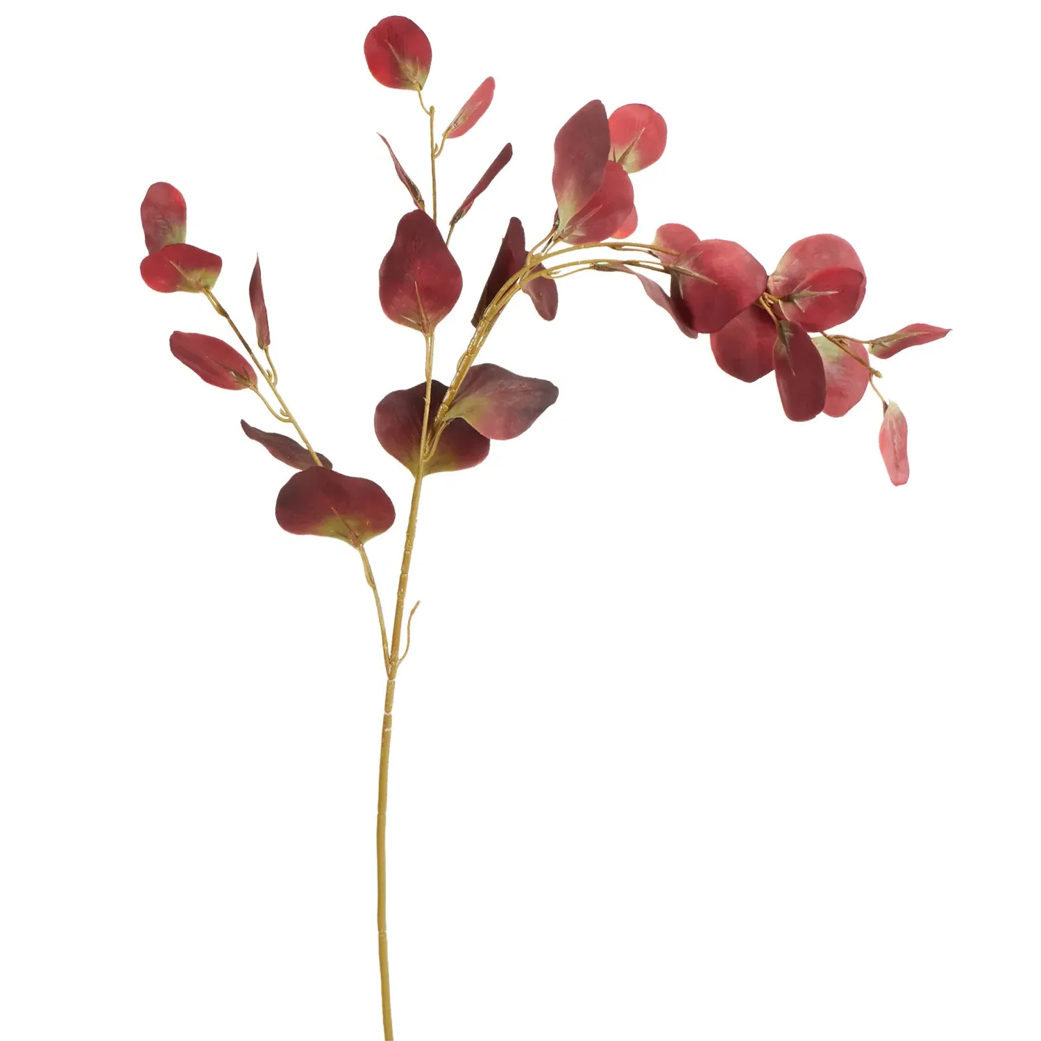 Assorted Eucalyptus Stem - Cream, Burgundy