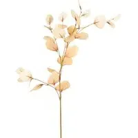 Assorted Eucalyptus Stem - Cream, Burgundy