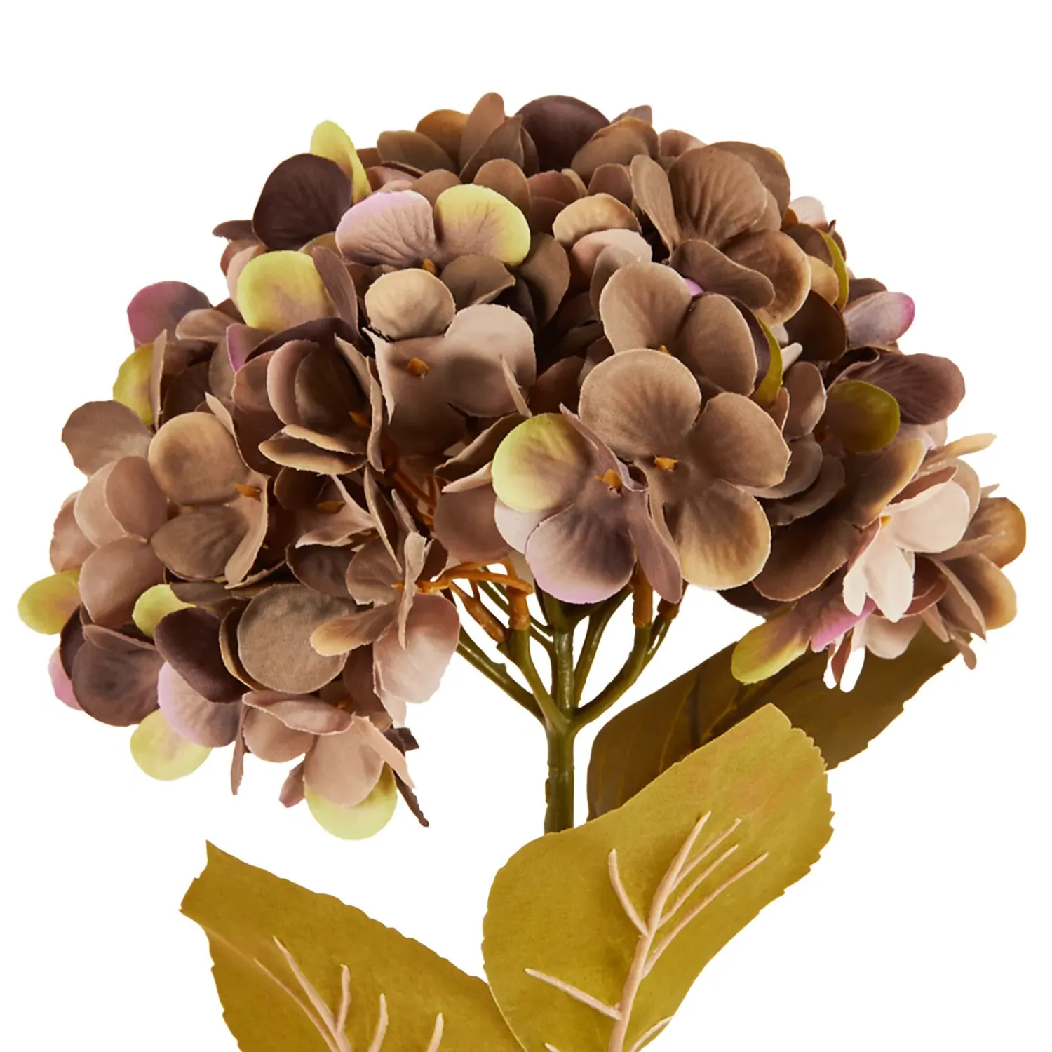 Assorted Hydrangea Stem - Purple or Green
