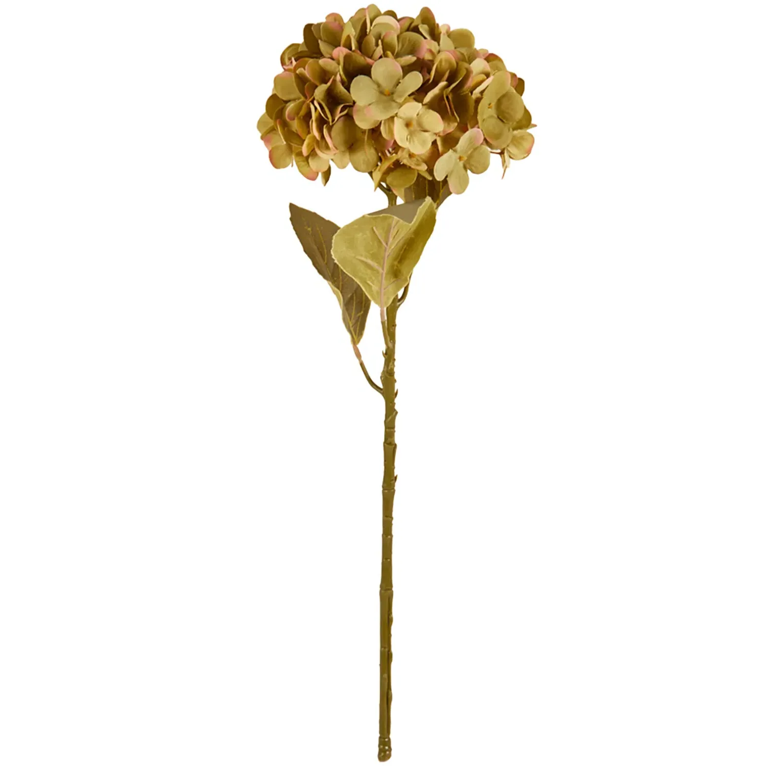 Assorted Hydrangea Stem - Purple or Green