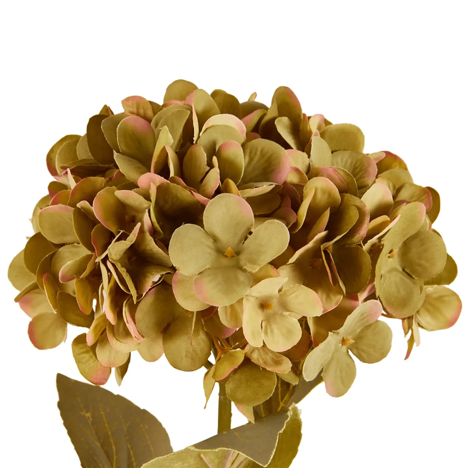 Assorted Hydrangea Stem - Purple or Green