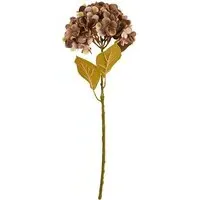 Assorted Hydrangea Stem - Purple or Green