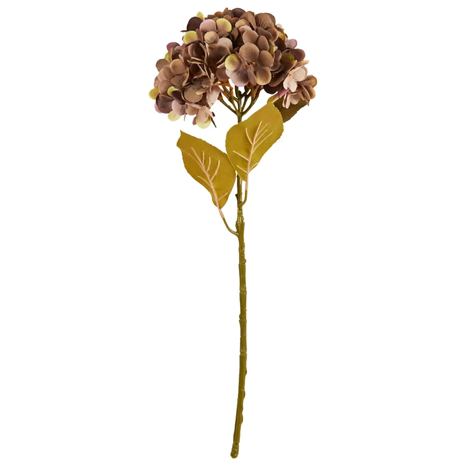 Assorted Hydrangea Stem - Purple or Green image