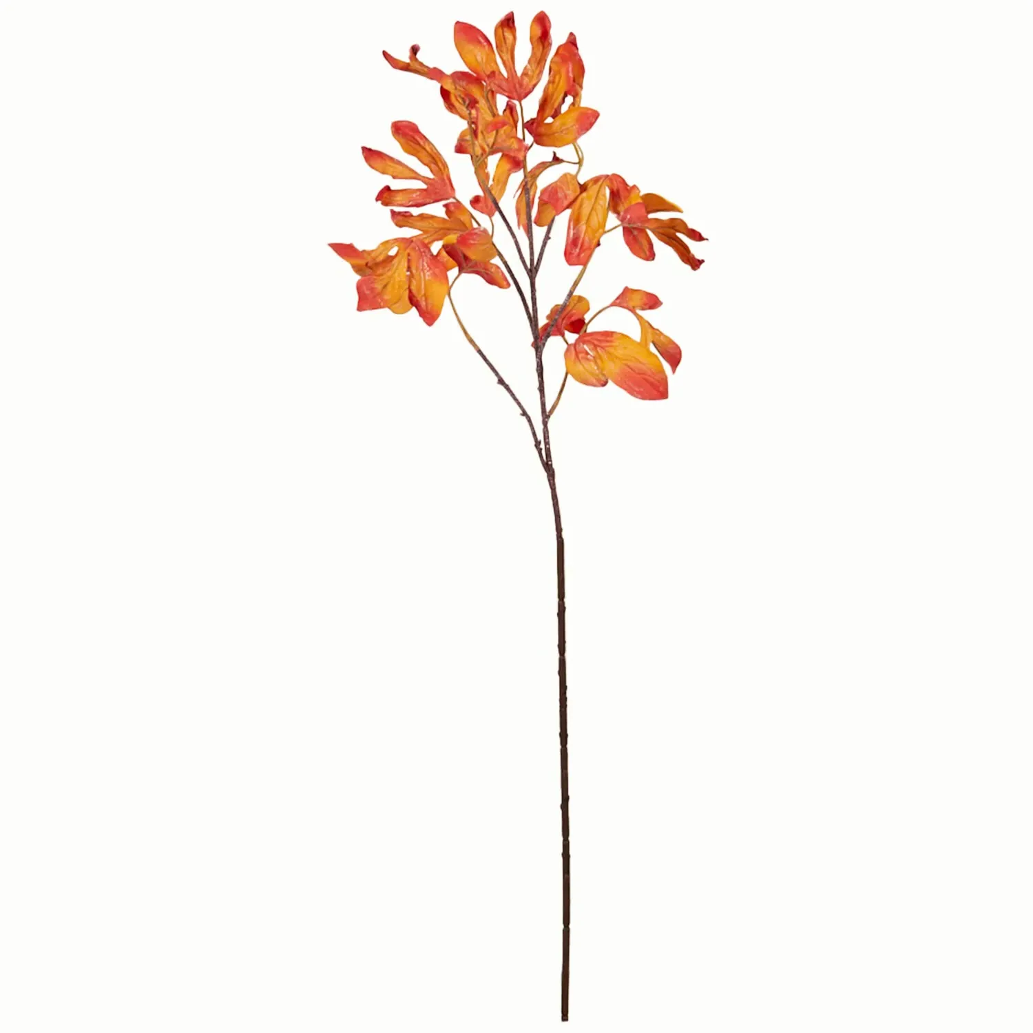 Autumn Leaves Spray - Multicolour