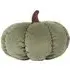 Autumn Pumpkin Cushion - Green
