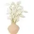 Bleached Eucalyptus Vase Arrangement - Pink, White