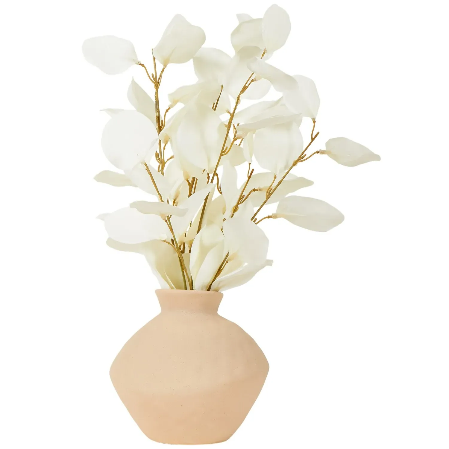 Bleached Eucalyptus Vase Arrangement - Pink, White image