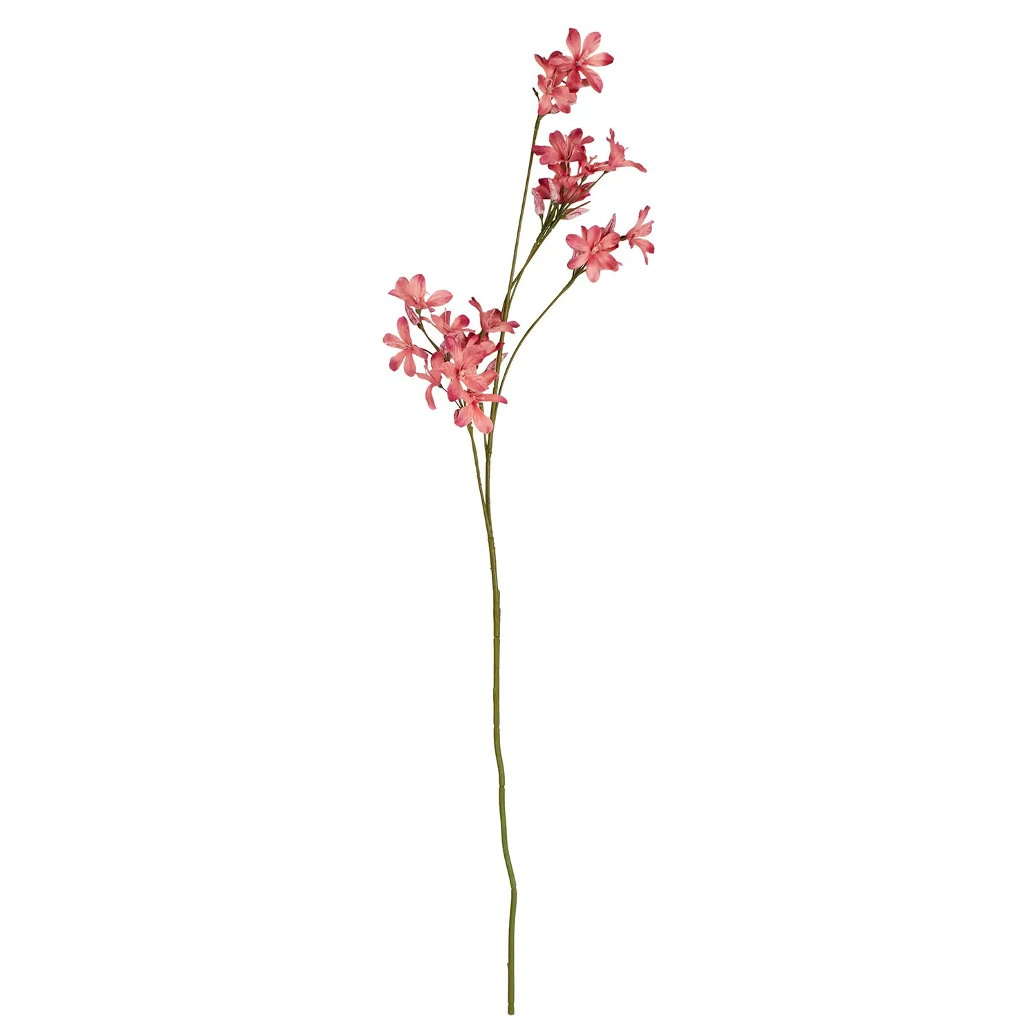 Blossom Spray 90cm - Coral