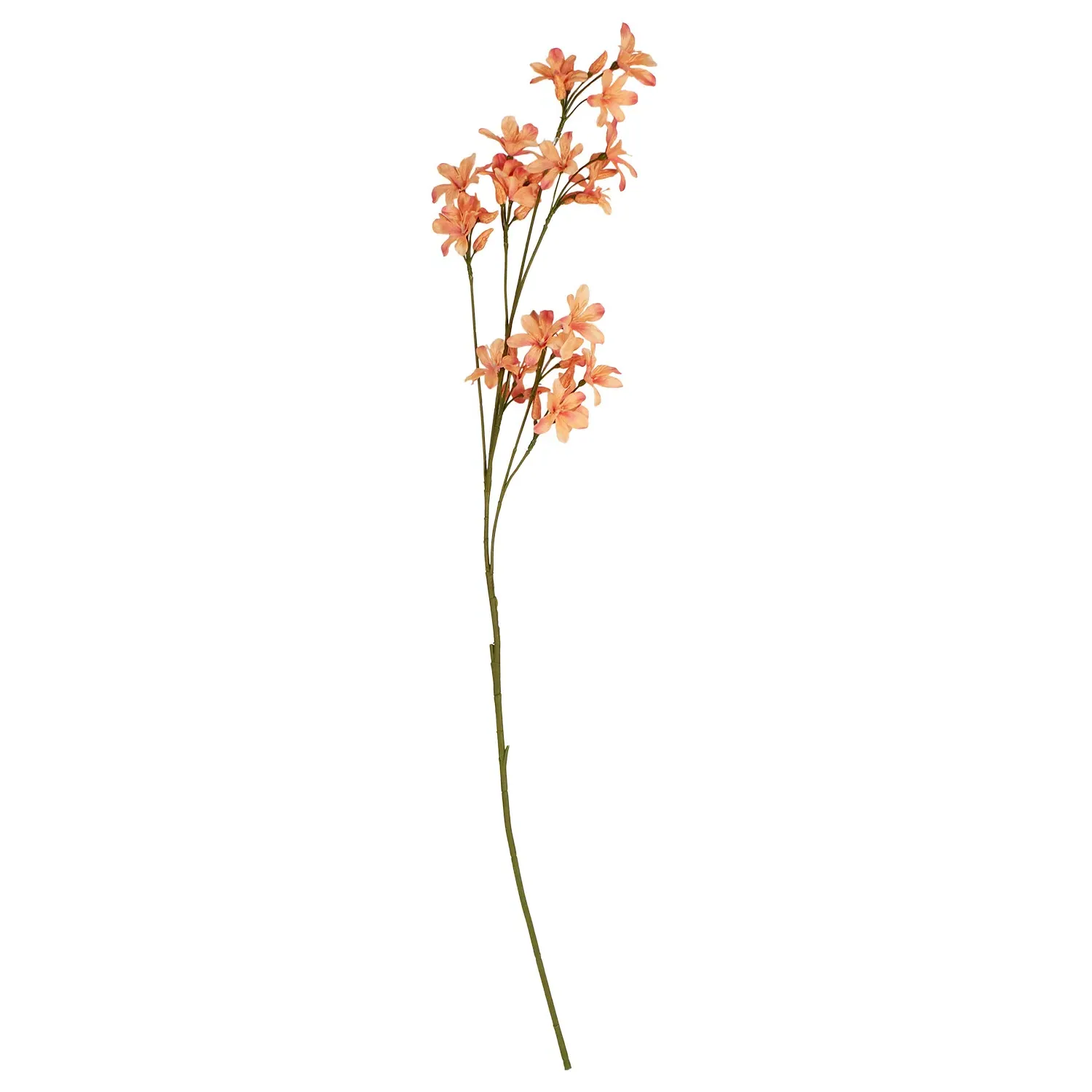 Blossom Spray 90cm - Coral