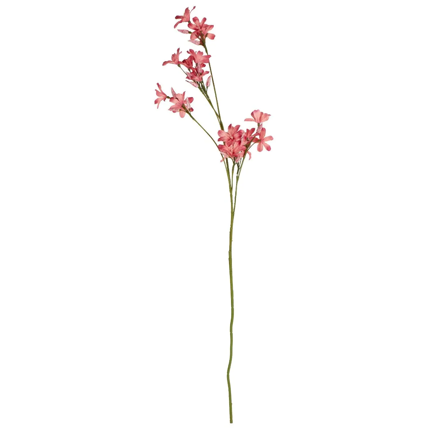 Blossom Spray 90cm - Coral image