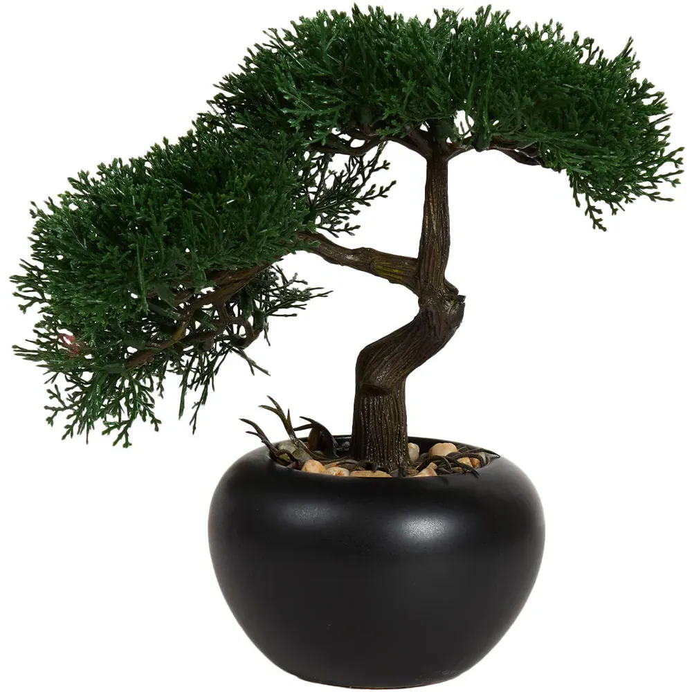 Bonsai Tree - Black