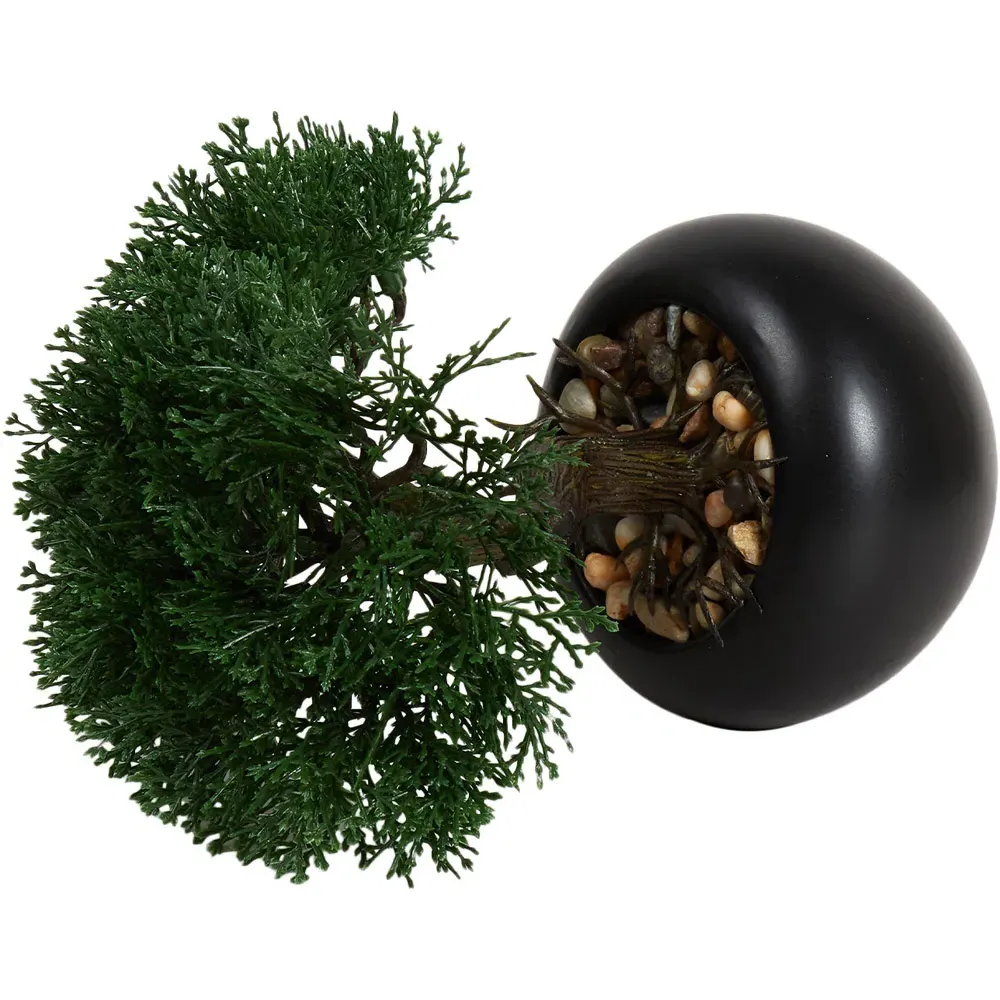Bonsai Tree - Black