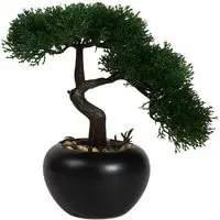 Bonsai Tree - Black