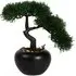 Bonsai Tree - Black