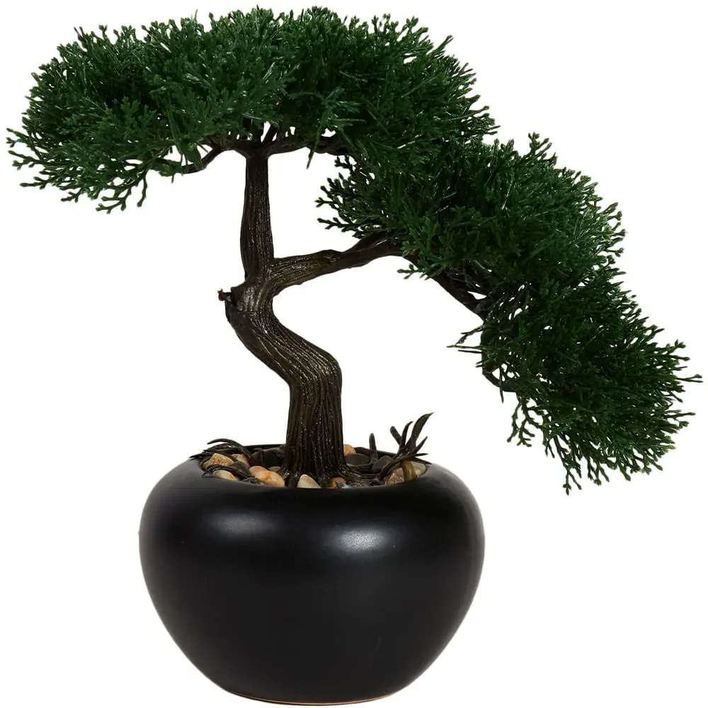 Bonsai Tree - Black image