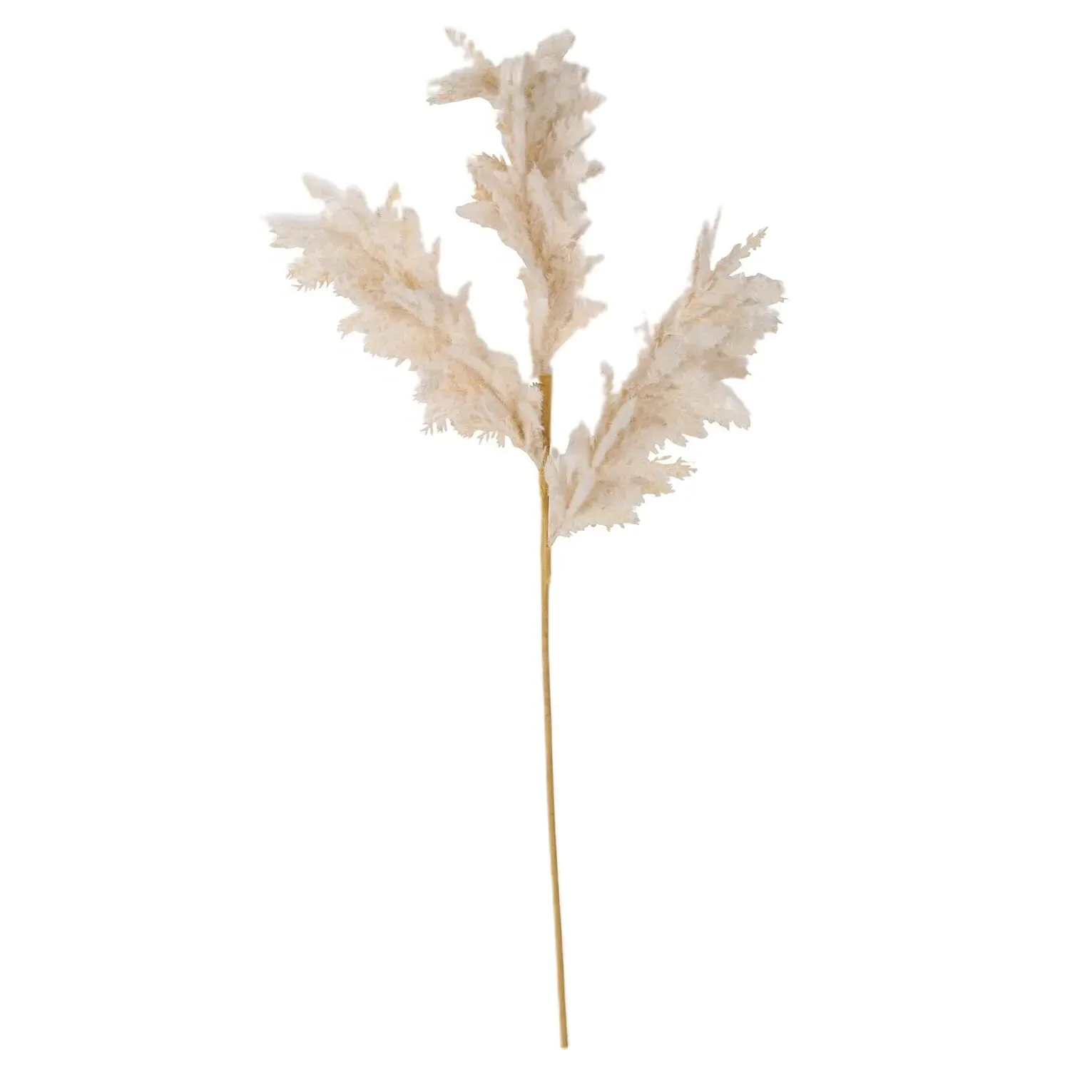 Bulrush Pampas Single Stem Artificial Plant - Natural image