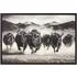 Charging Bisons Framed Gloss Art - Black
