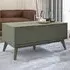 Cora 2 Drawer Coffee Table - Green