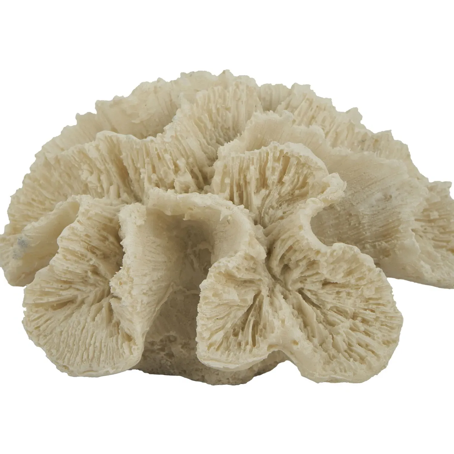 Coral Ornament - Natural