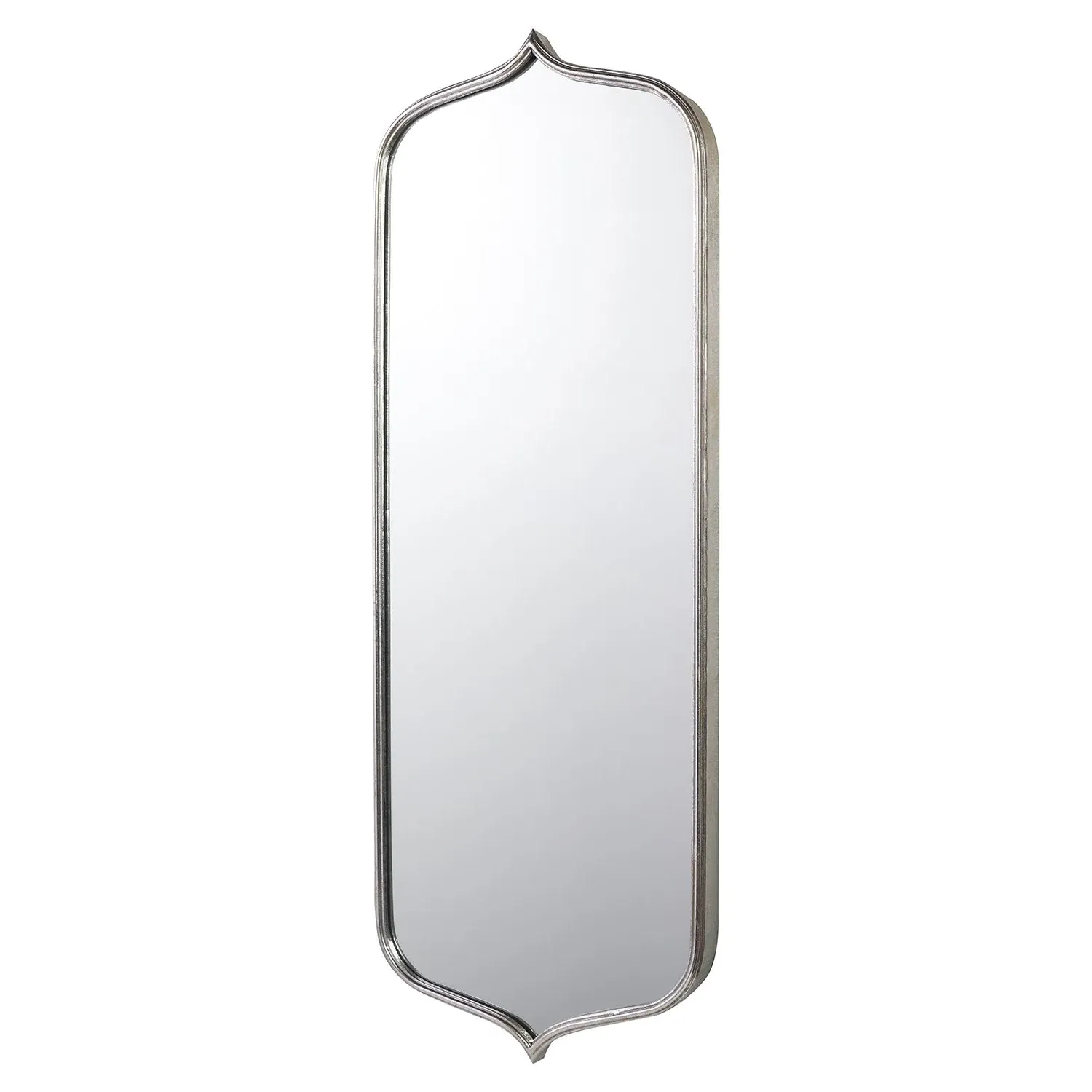 Curved Metal Mirror - Silver image