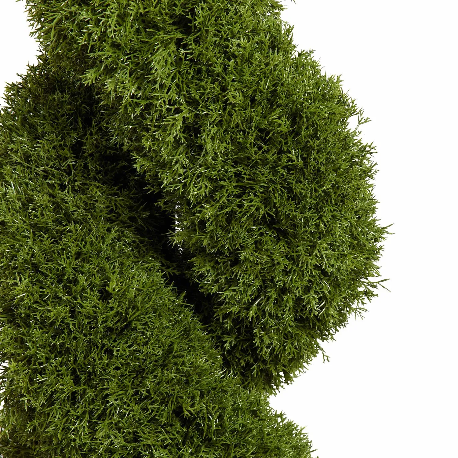 Cypress Spiral Tree with Planter - Green