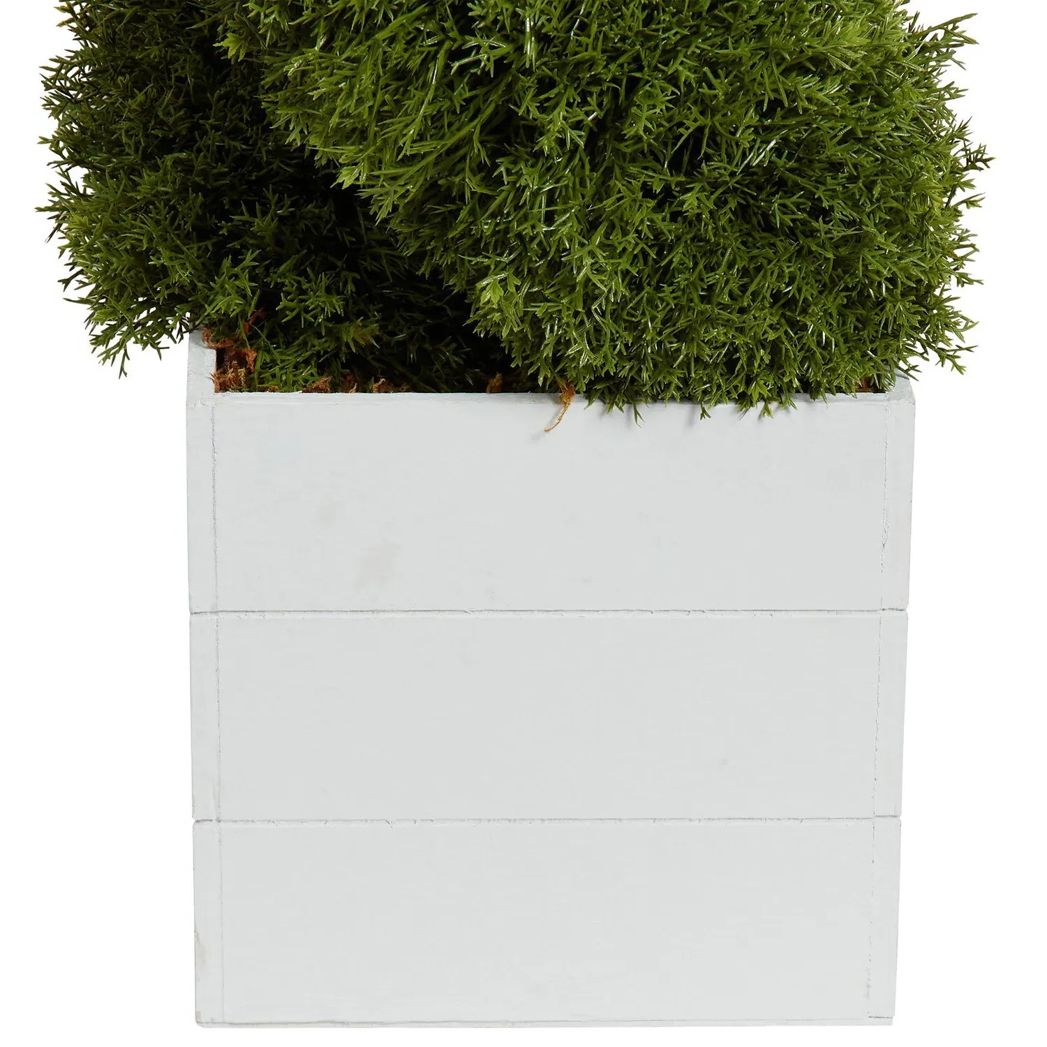 Cypress Spiral Tree with Planter - Green