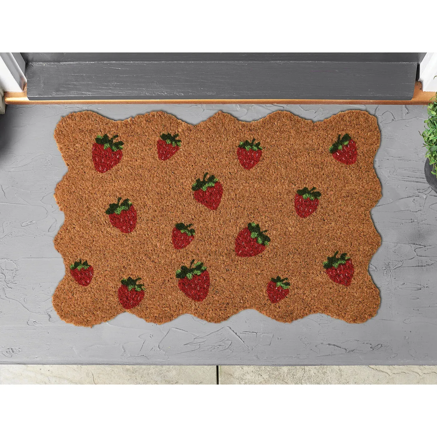 Decorative Printed Coir Door Mat - Brown