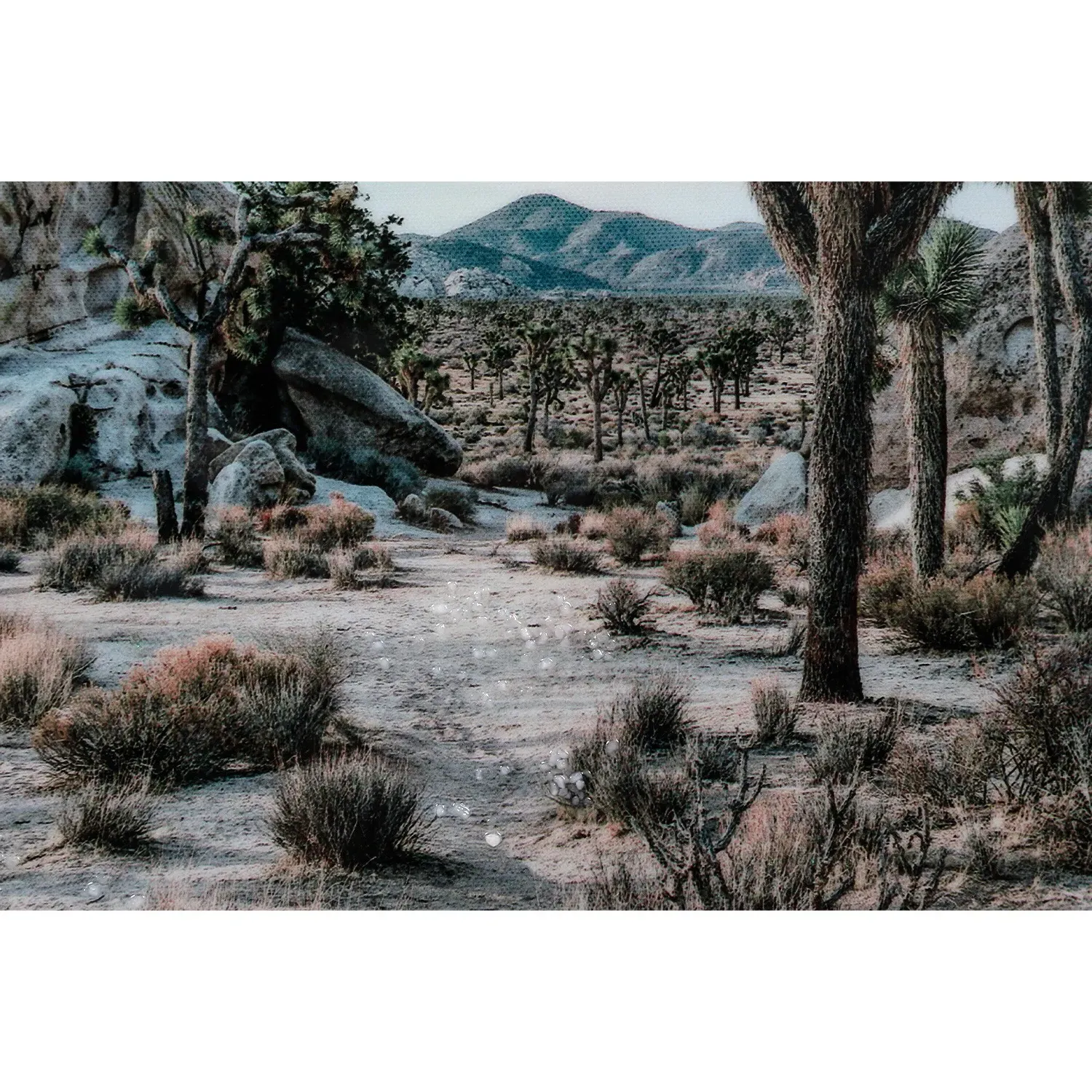 Desert Landscape Gloss Wall Art 80 x 60cm - White