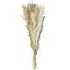 Dried Floral Pampas Bouquet - Natural
