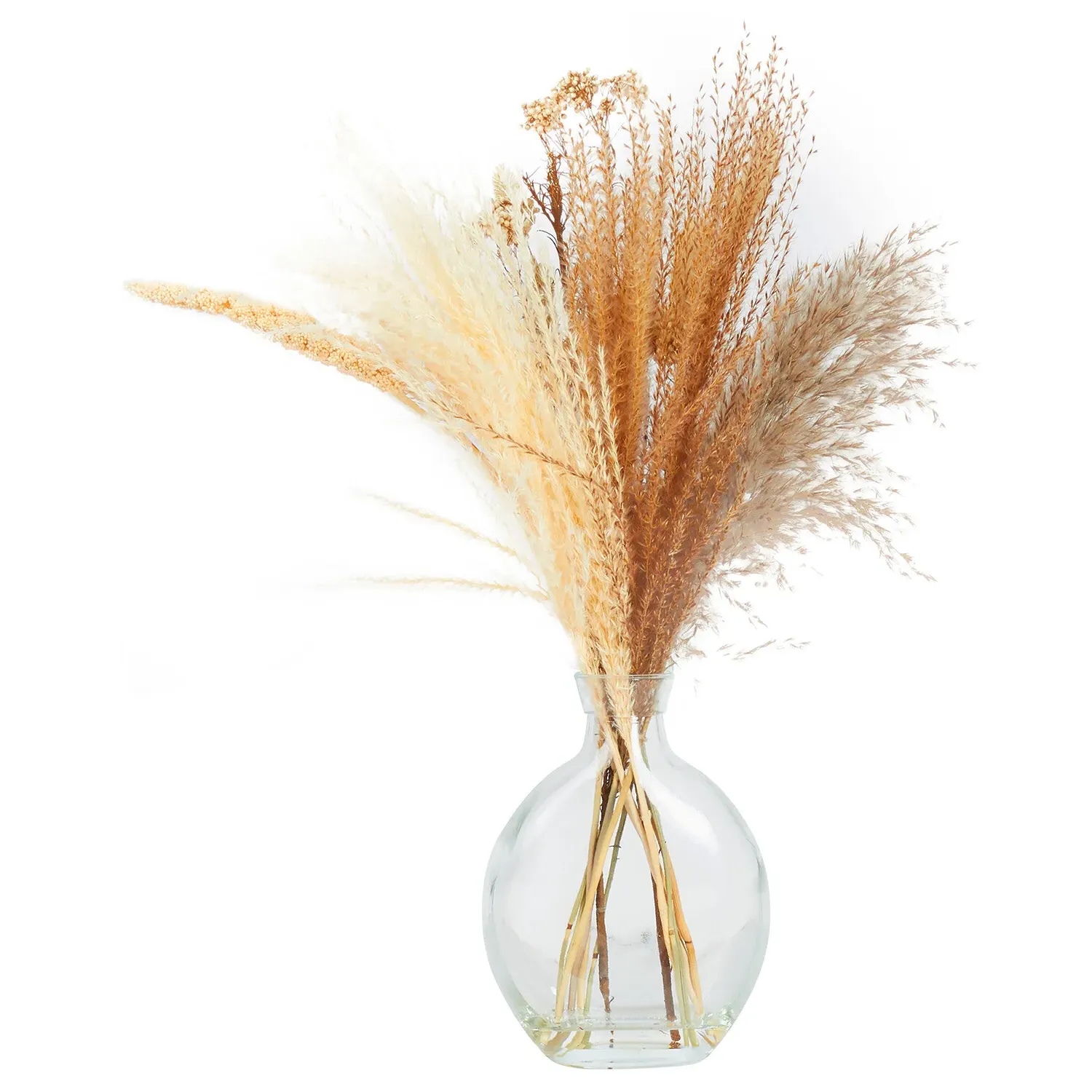 Dried Floristry Vase Arrangement - Clear