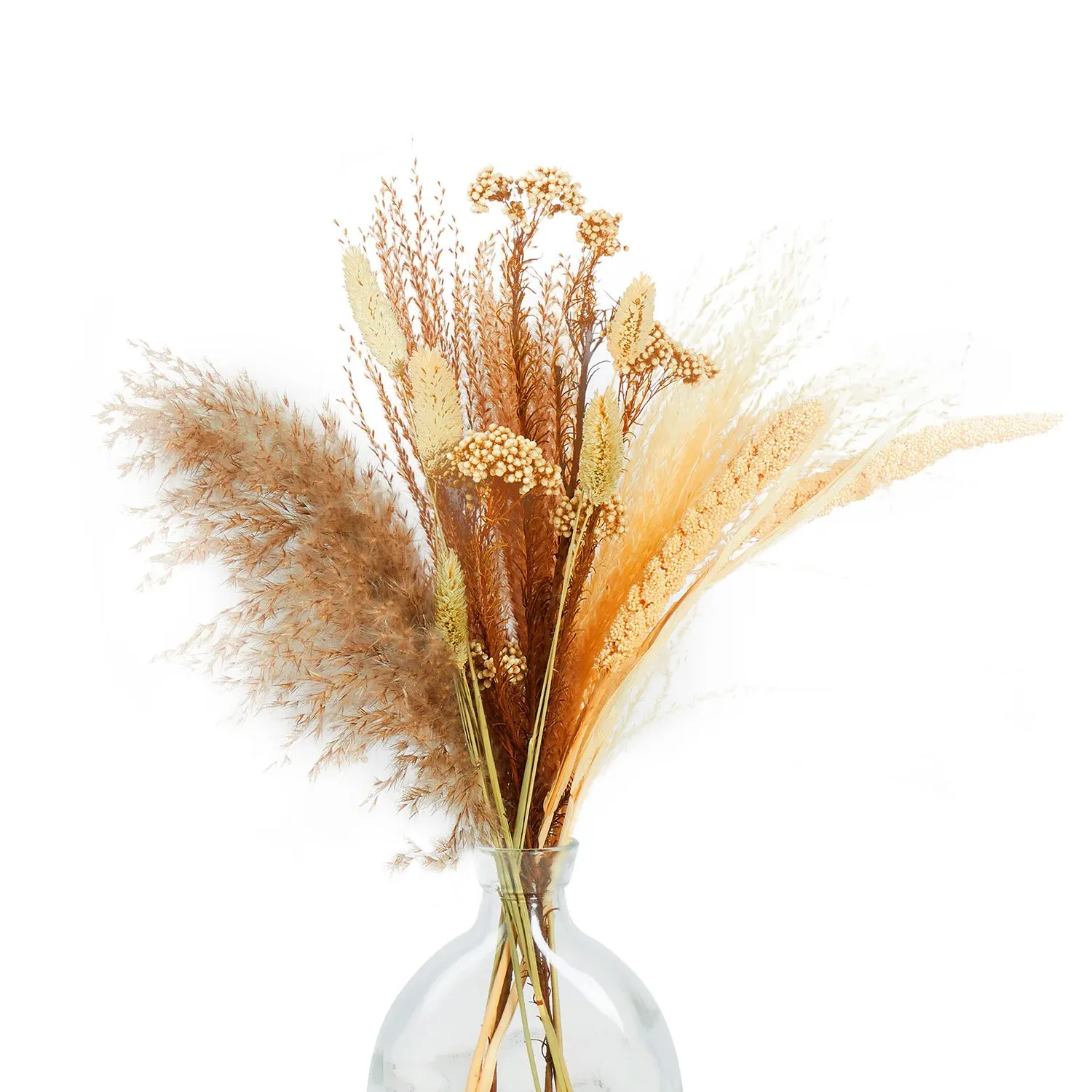 Dried Floristry Vase Arrangement - Clear