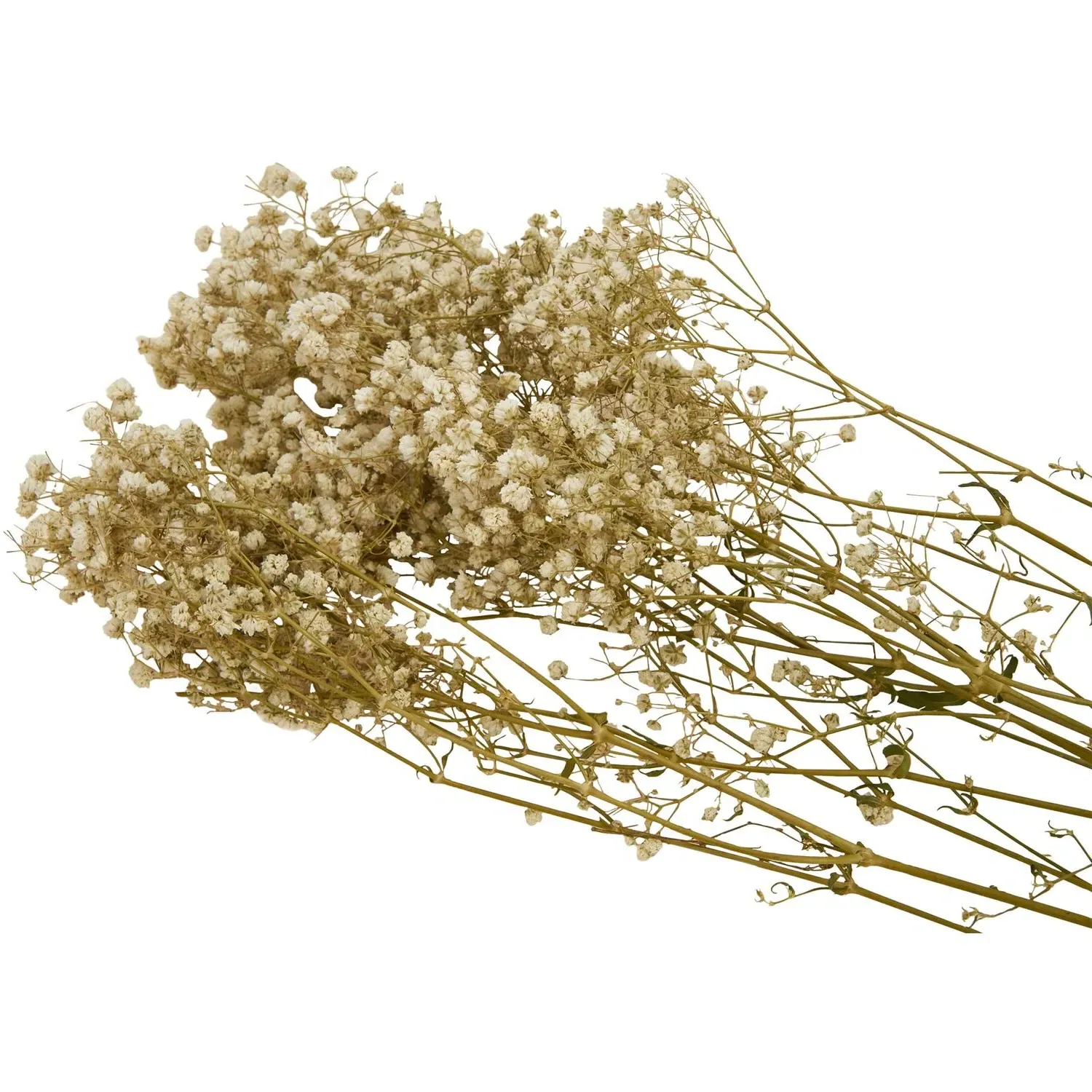 Dried Gypsophila Bouquet - Natural