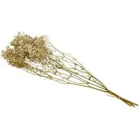 Dried Gypsophila Bouquet - Natural