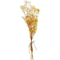 Dried Gypsophila Bunch - Orange