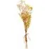 Dried Gypsophila Bunch - Orange